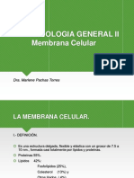 Teoria Membrana Cell