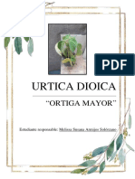 Urtica Dioica Informe General