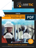 Consultor SAP Programador ABAP