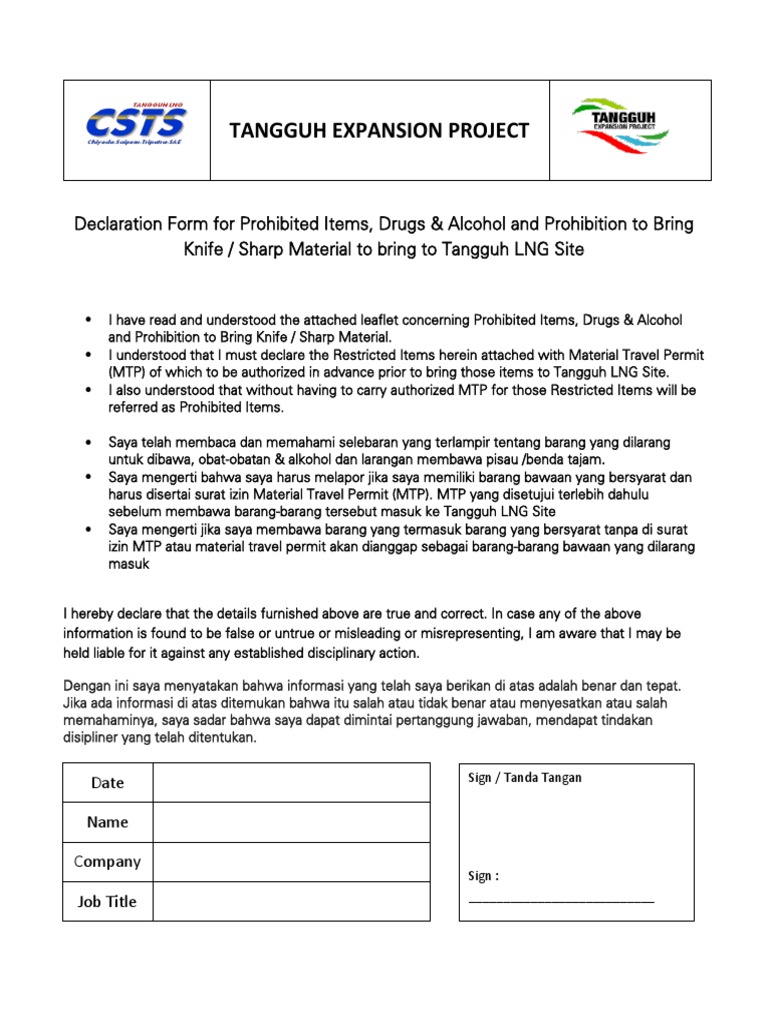 Security Declaration Form PDF