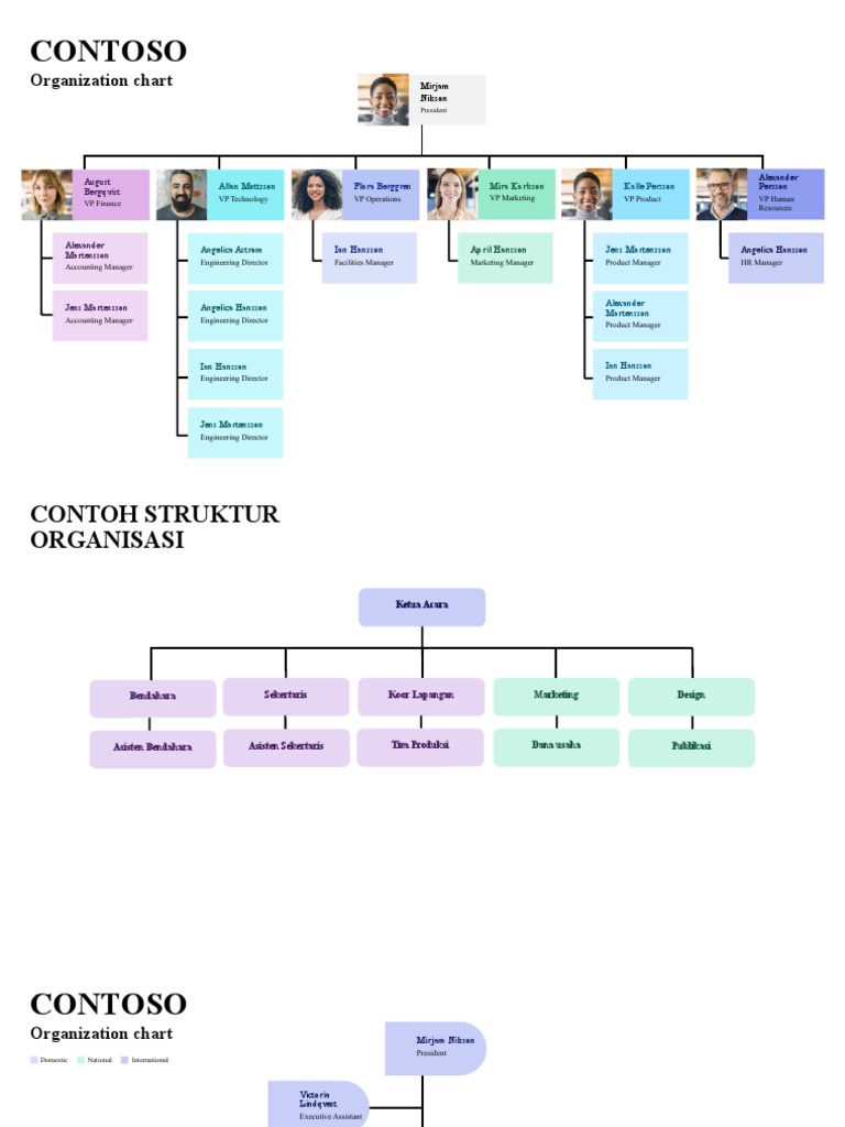 Contoso Organization Structure Overview | PDF