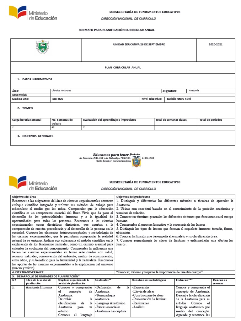 Formato para Planificación Curricular Anual | PDF | Plan de estudios ...