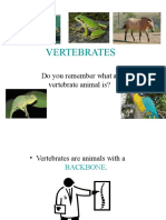 Vertebrates