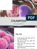 4.3. Chlamydia