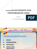 Kehamilan Konsepsi Dan Perkembangan Janin