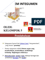 Sistem Integumen - Kelompok 5