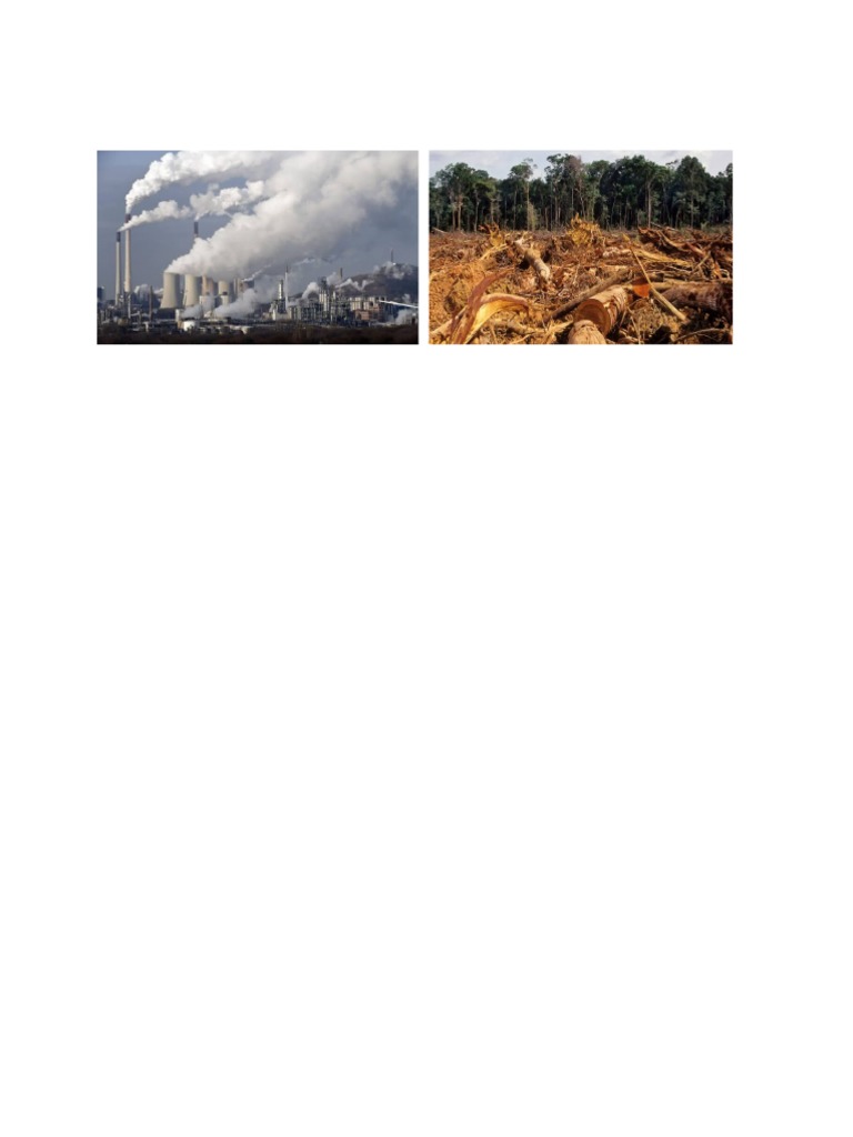 Cause and Effect 2 | PDF