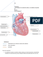 ACTIVIDAD CONDUCCIÓN CARDÍACA Terminada