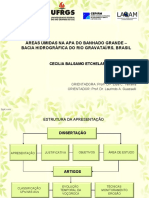 Apresentação Dissertação Cecilia