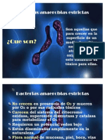Download bacterias anaerobias estrictas by Keren Sarmiento SN59257229 doc pdf