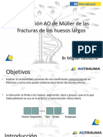 Clasificación AO de Müller de Las Fracturas de