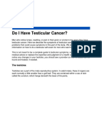 Do I Have Testicular Cancer?: The Testicles