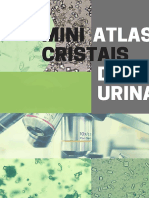 Mini Atlas de Urinalise