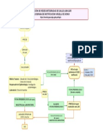 Flujo Notificacion - VE VM DLS 15.08.2022