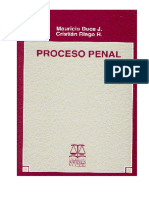 El Proceso Penal