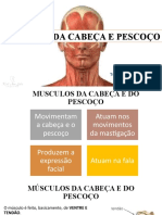 Aula 3 - Miologia Da Cabeça e Pescoço