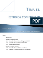 TEMA 13. Estudios Con Entidad Propia