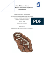 Practica Paleontolgia Pinche Inecesaria Pero Bueno