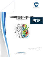 Syllabus Bases Neurobiologicas Del Aprendizaje