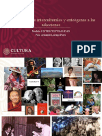 Modulo 1 Interculturalidad  