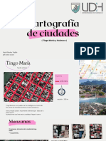 Cartografía de ciudades de Tingo María y Huánuco