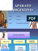Tema #12 Ap Digestivo