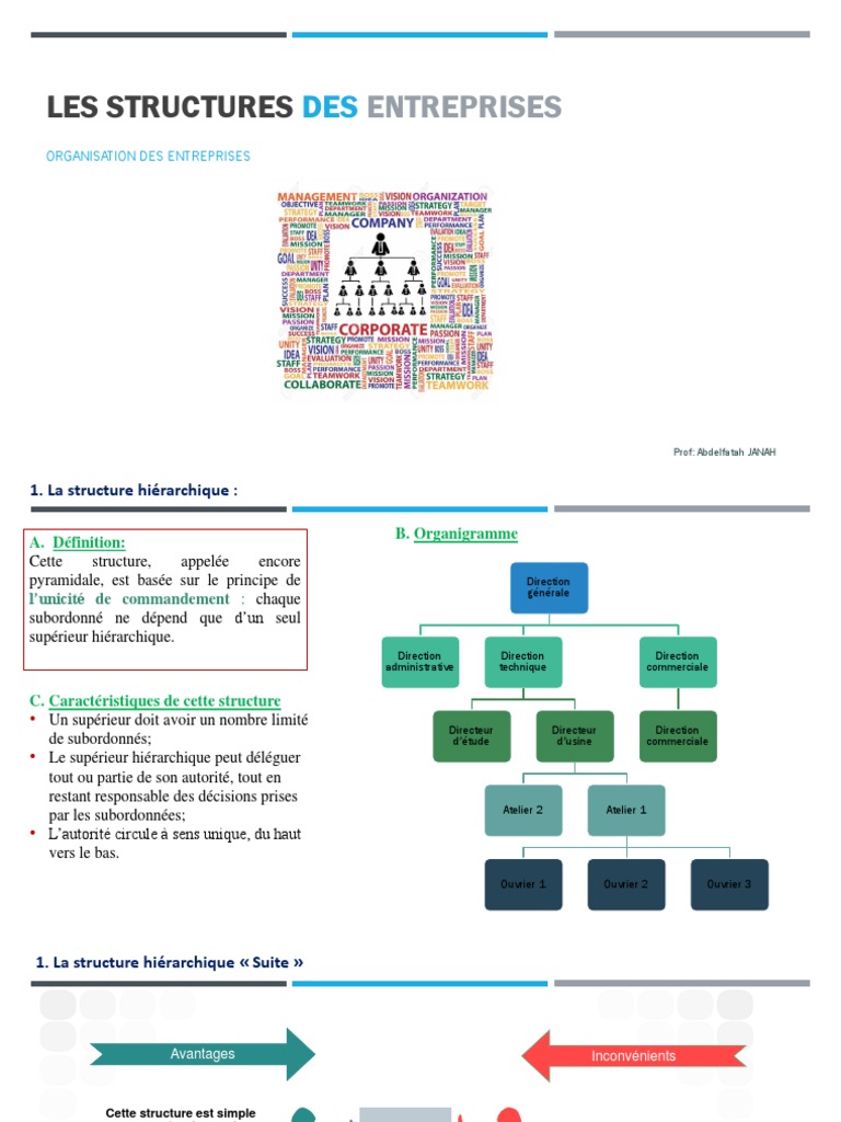 Les Structures Des Entreprises | PDF | Économie | Business