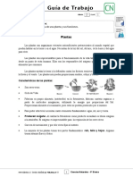 8basico - Guia Trabajo Ciencias - Semana 15