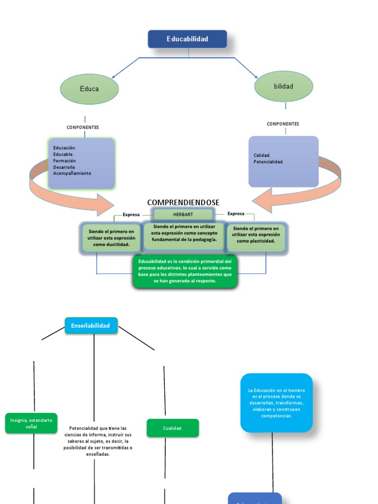Educabilidad y Enseñabilidad | PDF | Aprendizaje | Cognición