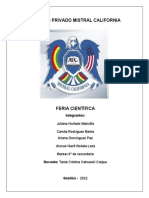 Informe de Quimica Feria