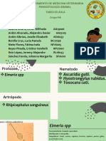 Parasitología animal: Huevos de nematodos y protozoos