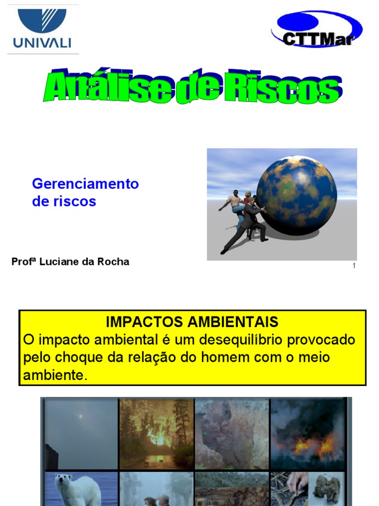 Gerenciamento de Riscos Ambientais | PDF | Ambiente natural | Natureza