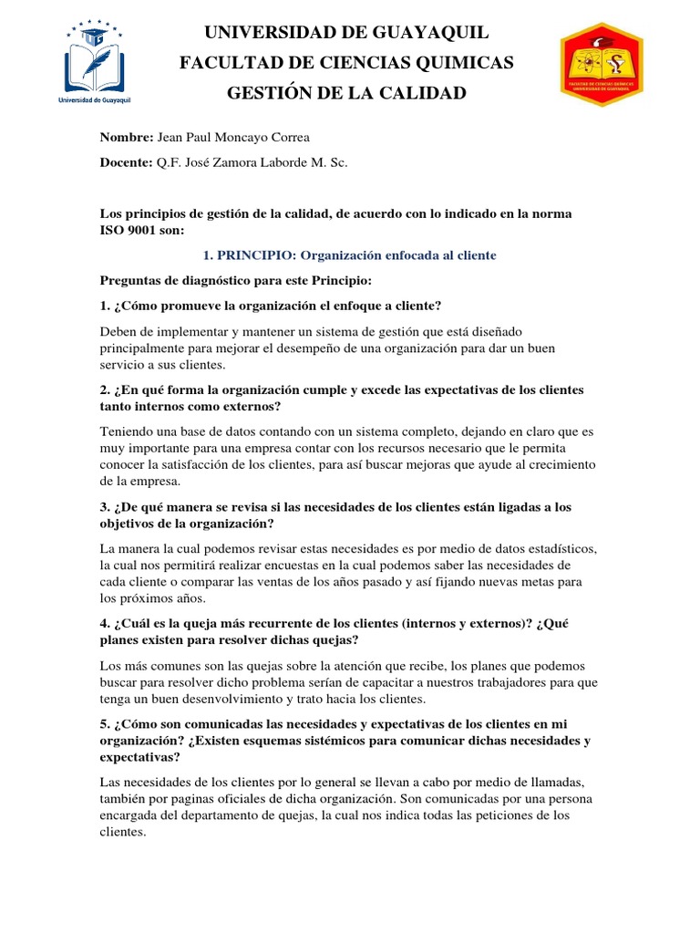 8 Principios De La Norma Iso 9001 Pdf Calidad Comercial