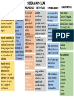 Sistema Muscular