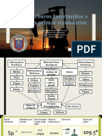 Intermediarios Hidrocarbonados