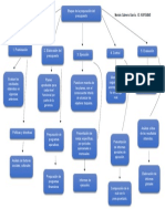 Cabrera-Moisés-Etapas para La Preparación Del Presupuesto.