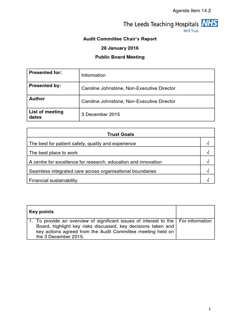 14.2 Audit Committee Chair S Report Meeting 031215 PDF Audit