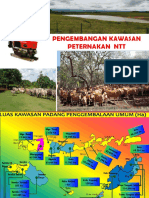 Materi Kawasan 2020 Rakor Silvya