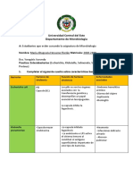 Practica Enterobacterias