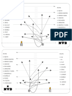 RUTAS Playbook Flag 5vs5