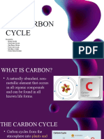 GE 10 Carbon Cycle