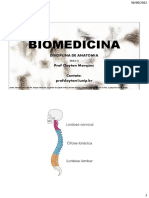 Aula Anatomia Miologia Prof Clayton Biomedicina ALPHA