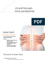 Back and Hip Pain Anatomy