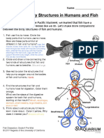 BirchAquariumFish DissectionGrade4 PostKEYNov2017