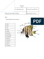 Ex 3 Lab Output BIO 2206L Chiong Marifosque