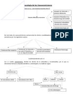 Farmacologia de Los Vasoconstrictores