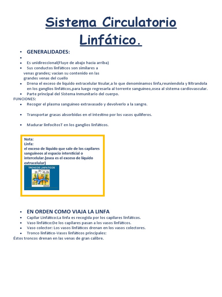 Resumen Del Sistema Linf tico - 1719144971
