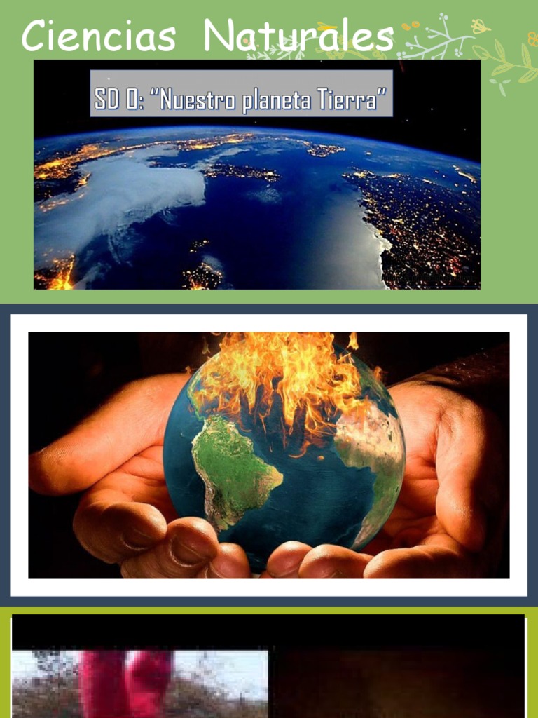 Climas y Paisajes de Chile: Guía Educativa | PDF | Clima | Selva