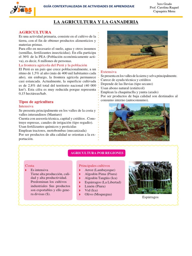 Tipos de Agricultura y Ganadería en Perú | PDF | Agricultura ...