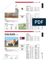 Simmental Swissgenetics